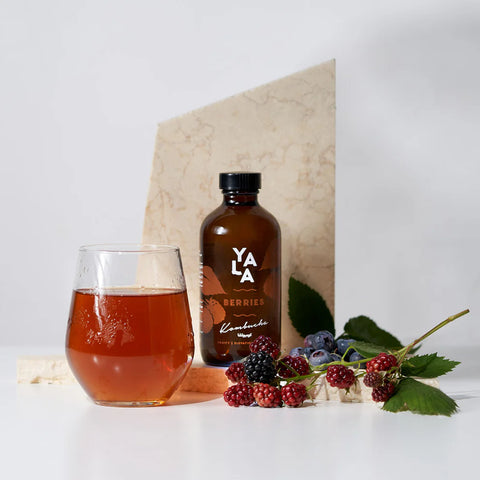 Berry Kombucha