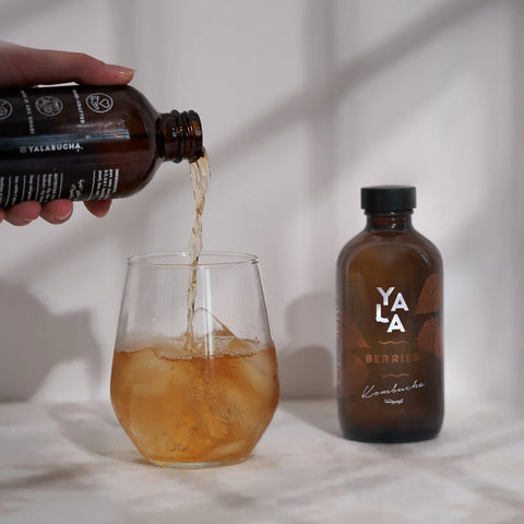 Berry Kombucha